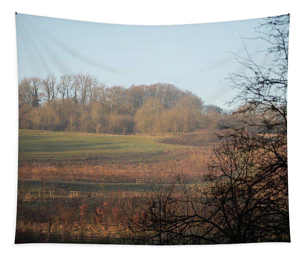 Spring Tapestry featuring the photograph Springtime layers by Average Images