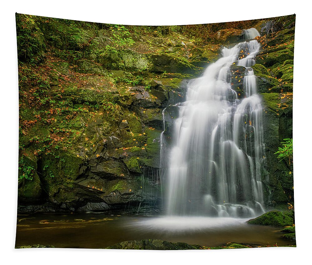 National Park Tapestry featuring the photograph Spruce Flats Falls Autumn Up Close by Kenneth Everett