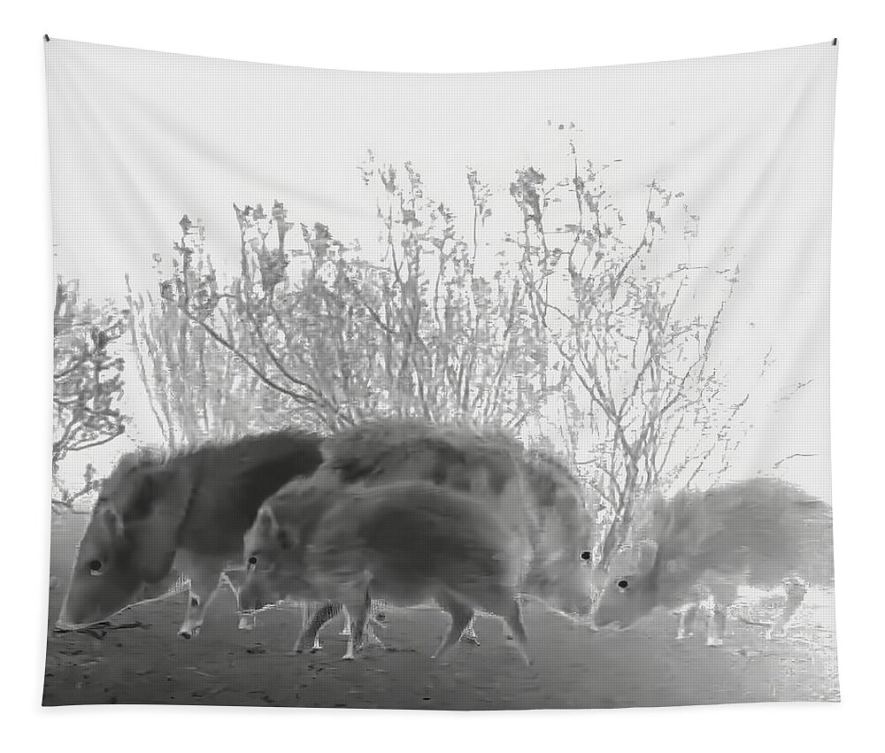Javelina Tapestry featuring the photograph Squadron by Judy Kennedy