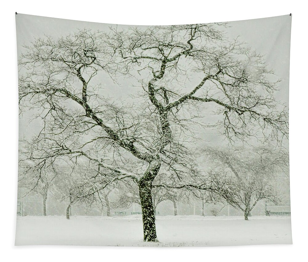 Snow Tapestry featuring the photograph Squall at Cummngs Park by Cordia Murphy