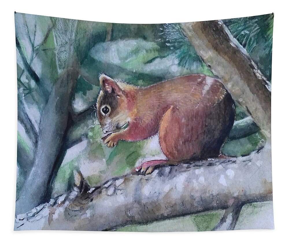 Squirrel Tapestry featuring the drawing Squirrel eating a nut. by Carolina Prieto Moreno
