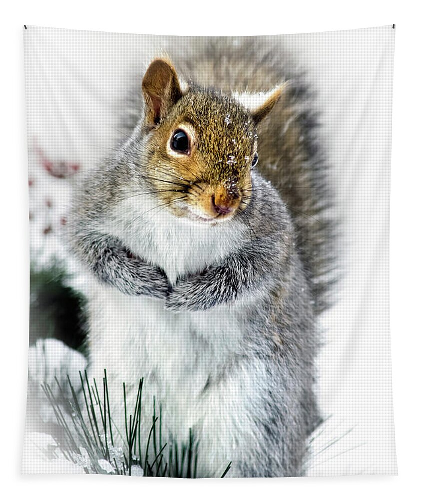 Squirrel Tapestry featuring the photograph Squirrel in Snow by Christina Rollo