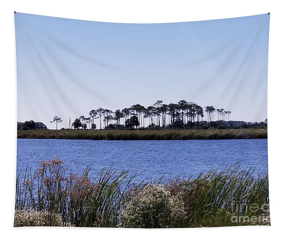 Landscape Tapestry featuring the photograph St. Marks Lighthouse Bay by Joe Roache