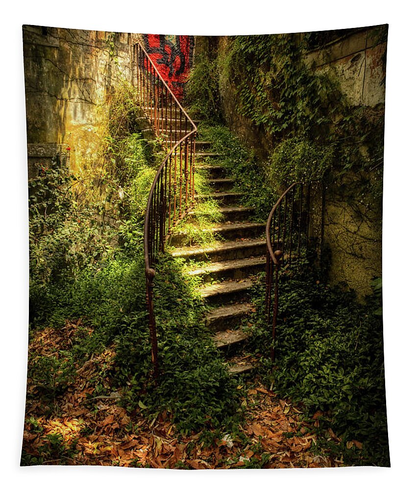 In The Shadow Tapestry featuring the photograph Stairway to nowhere by Micah Offman