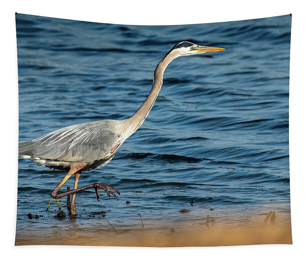 Great Blue Heron Tapestry featuring the photograph Stalker by Phil S Addis