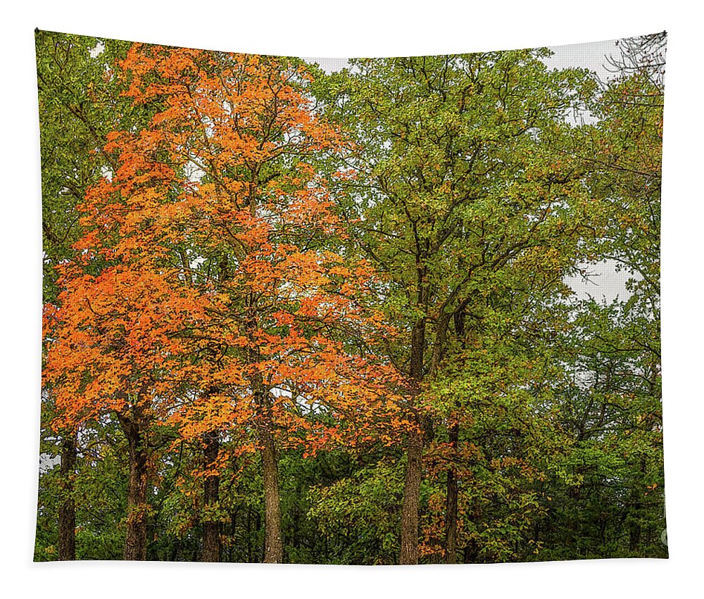 Sugar Maple Tapestry featuring the mixed media Stand Out by Jennifer White
