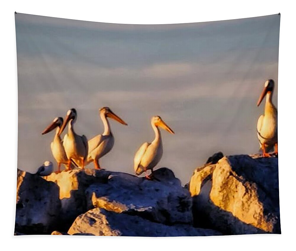 Pelicans Tapestry featuring the photograph Stand Together Apart by Terry Ann Morris
