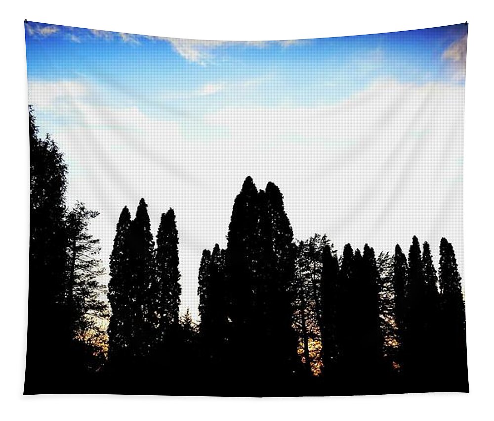 Sunset Tapestry featuring the photograph Standing tall I'm the sunset by Shalane Poole