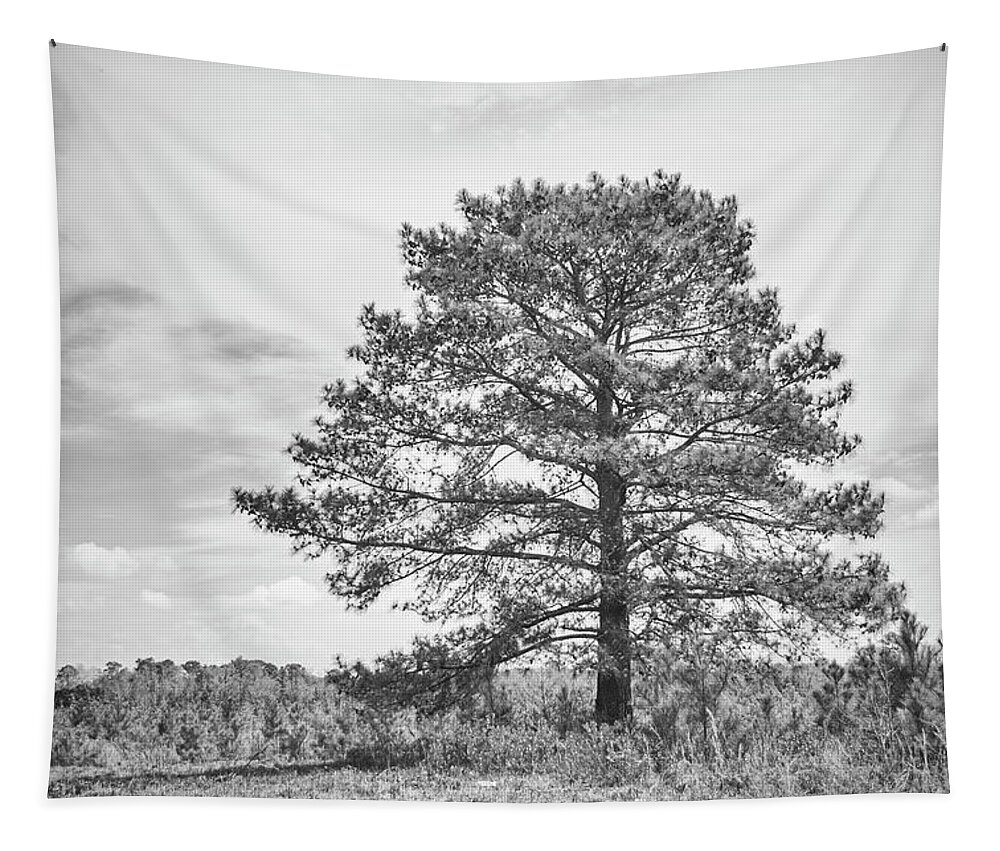 Tree Tapestry featuring the photograph Standing Tall - Single Tree in a Vacant Field by Bob Decker