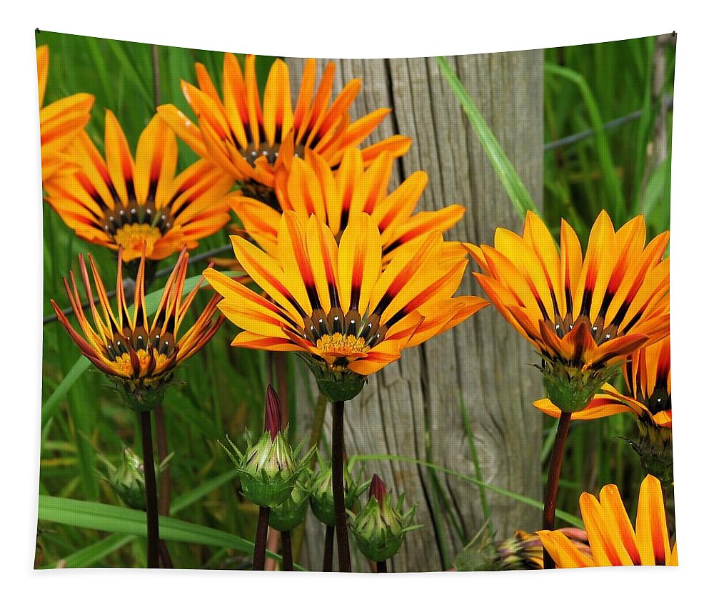 Daisy Tapestry featuring the photograph Standing to Attention by Joan Stratton