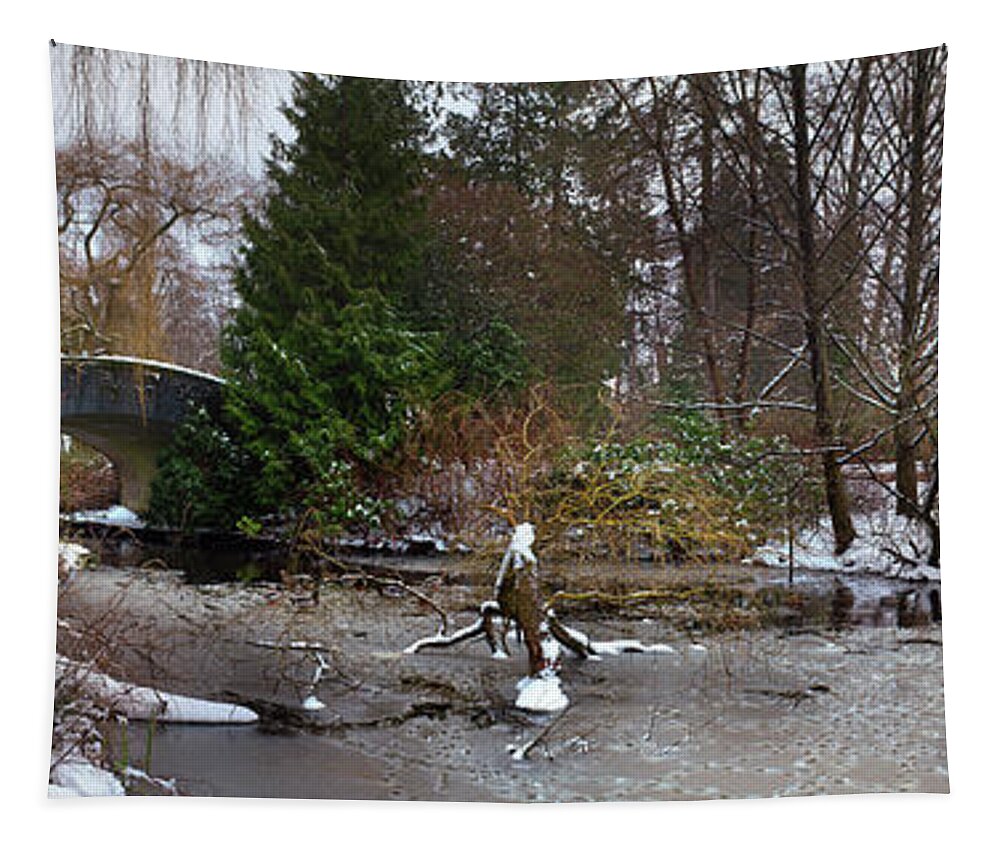 617 Tapestry featuring the photograph Stanley Park in Winter Vancouver by Sonny Ryse