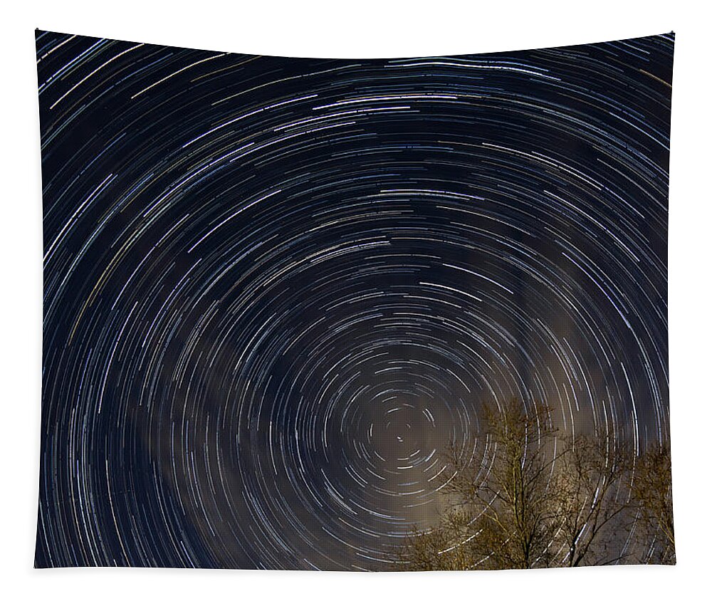 Stars Tapestry featuring the photograph Star trails from my backyard by Brian Weber