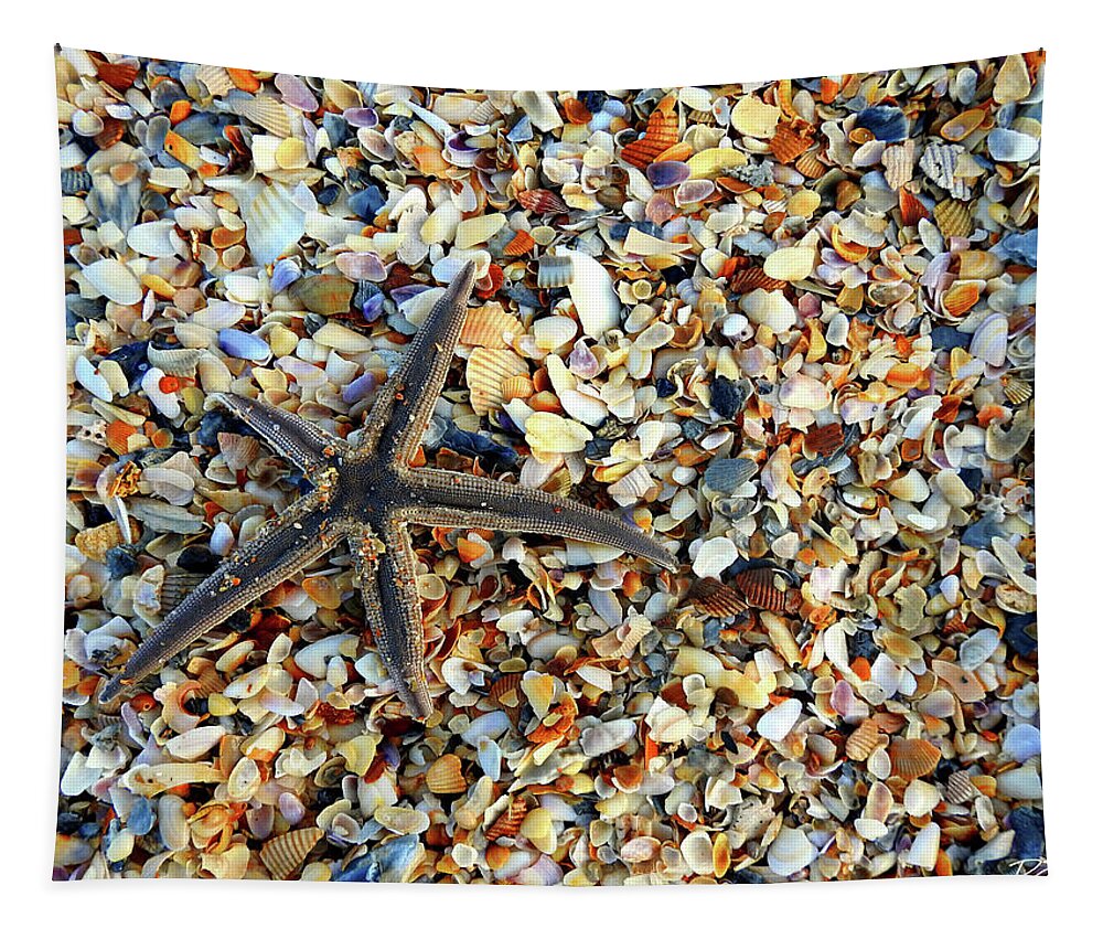 Starfish Tapestry featuring the photograph Starfish on the Beach by Rod Seel