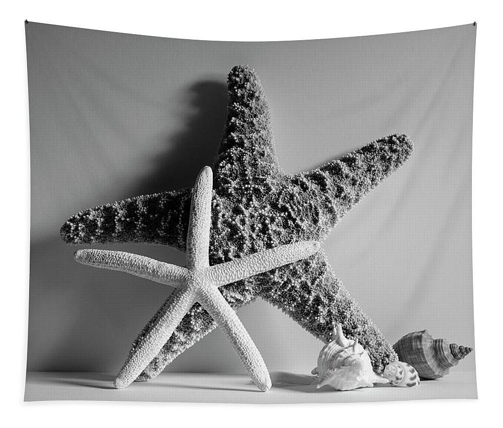 Starfishes Tapestry featuring the photograph Starfishes and Seashells 2 by Angie Tirado