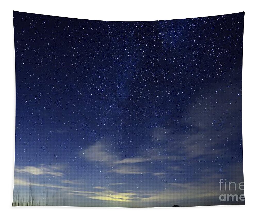 Photography Tapestry featuring the photograph Starry Starry Night by Larry Ricker