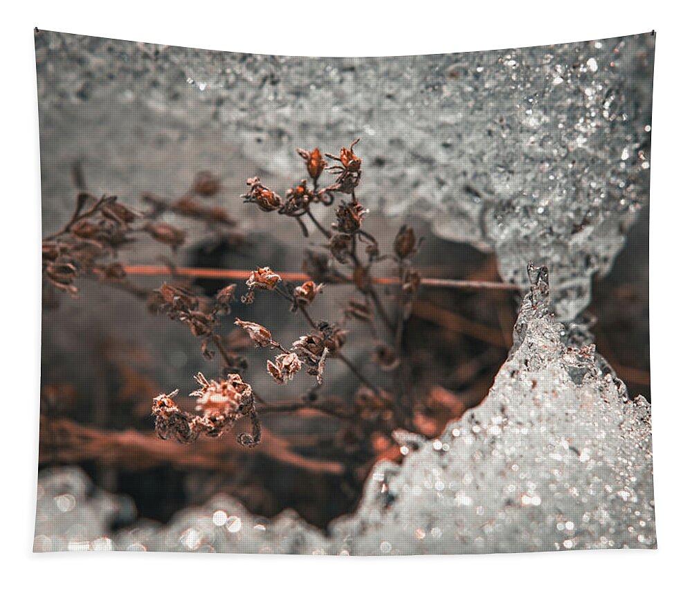 Ice Tapestry featuring the photograph Starting to Thaw by Bonny Puckett