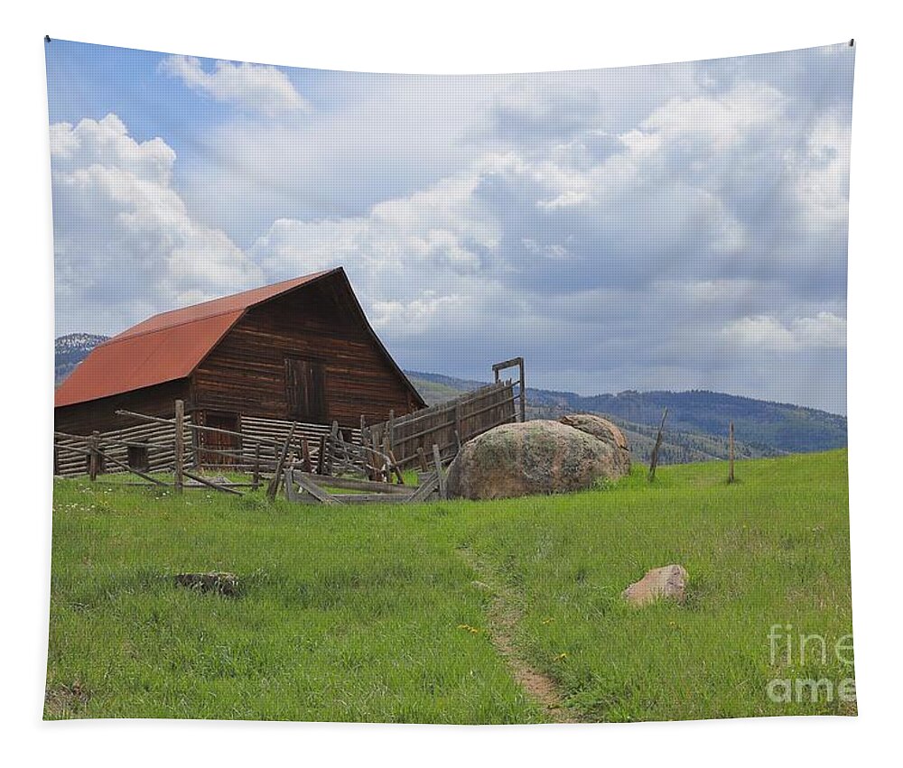 Steamboat Barn Tapestry featuring the photograph Steamboat Barn Two by Veronica Batterson