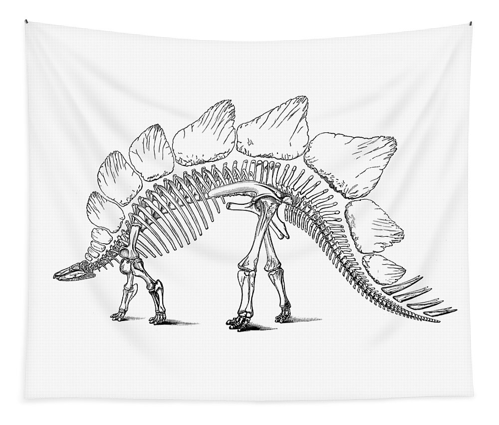 Stegosaurus Tapestry featuring the digital art Stegosaurus Bones by Madame Memento