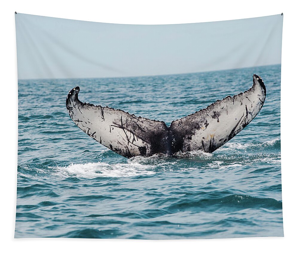 Whale Tapestry featuring the photograph Stellwagen Whale Tail by Ann-Marie Rollo