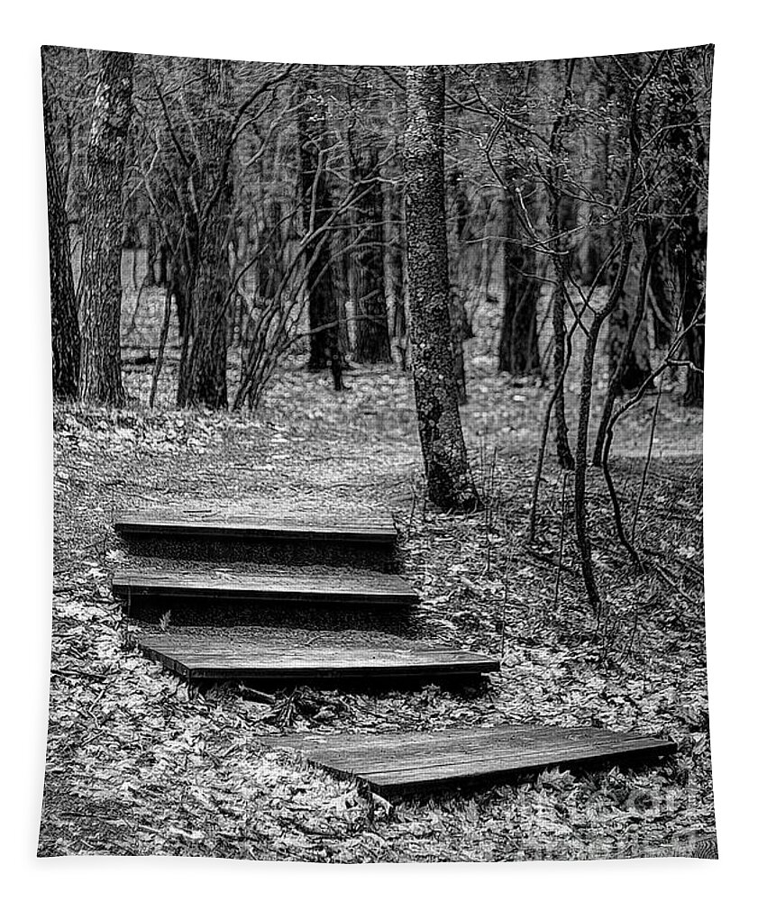 Steps Tapestry featuring the photograph Steps to the Forest by Randy Pollard