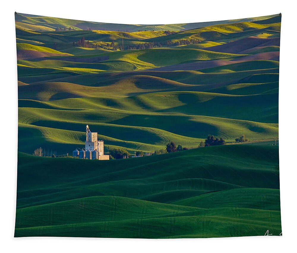 Palouse Tapestry featuring the photograph Steptoe's Tapestry by Andrea Platt