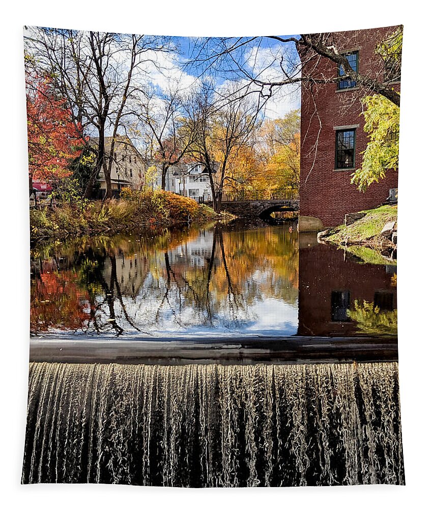 Water Tapestry featuring the photograph Stillness and Motion by Christopher Brown