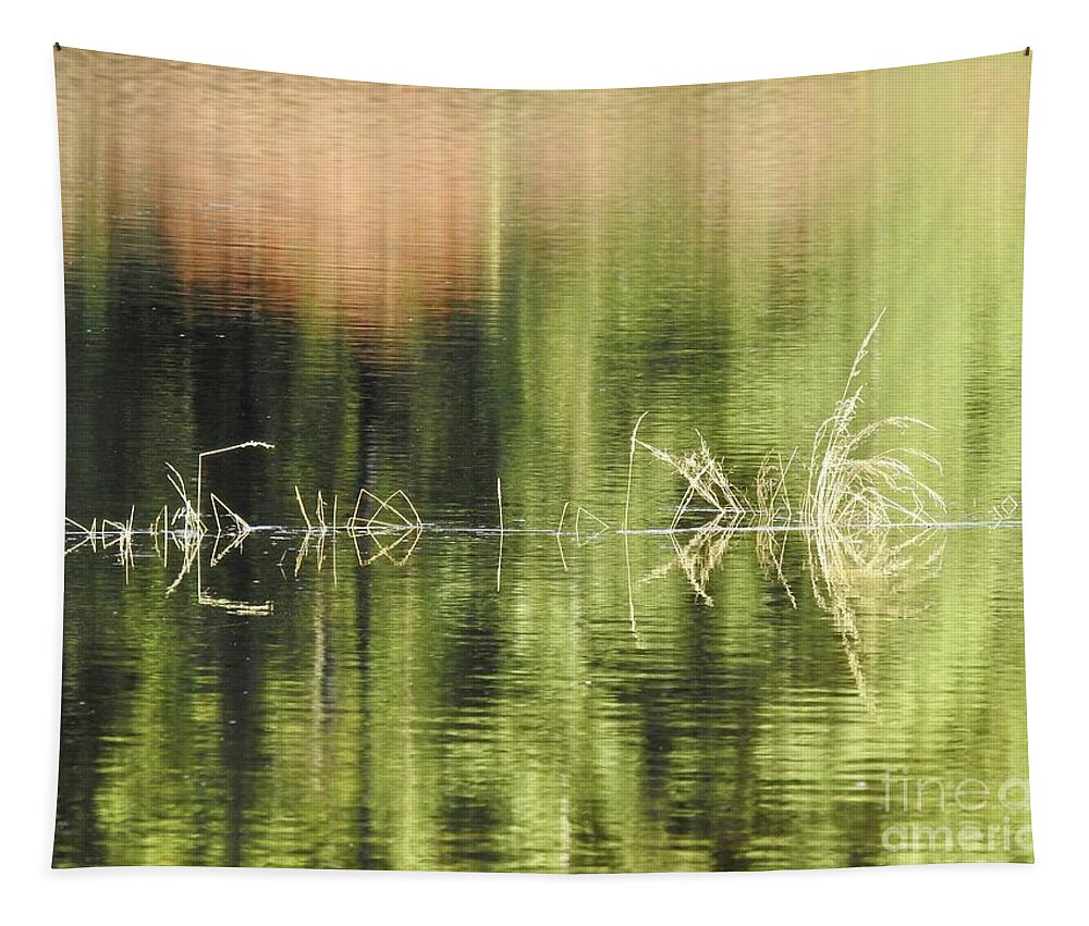 Water Tapestry featuring the photograph Stillness by Nicola Finch