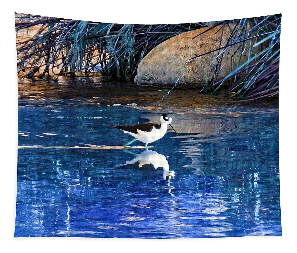 Bird Tapestry featuring the photograph Stilt in Blue Water by Andrew Lawrence