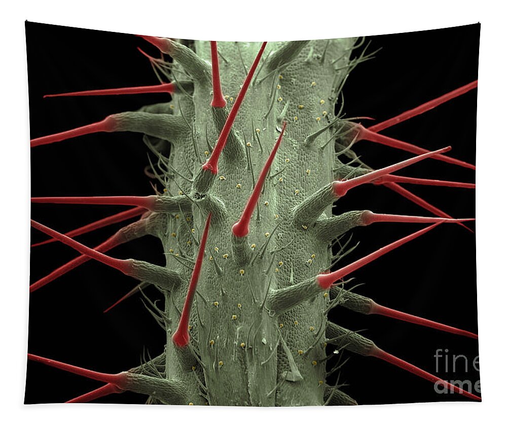 Alternative Medicine Tapestry featuring the photograph Stinging Nettle SEM by Ted Kinsman