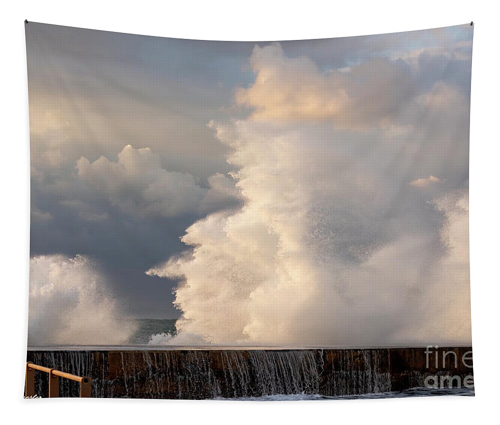 Storm Tapestry featuring the photograph Storm at sunset  79 by Arik Baltinester