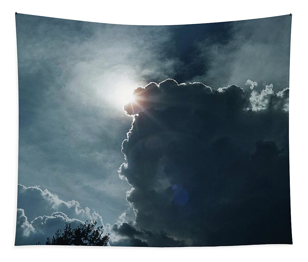 Sun Tapestry featuring the photograph Storm Clouds Sun and Eagles by Russ Considine