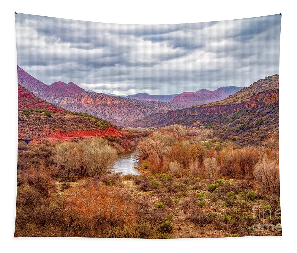  Tapestry featuring the photograph Storm In The Desert 2 by Pamela Dunn-Parrish