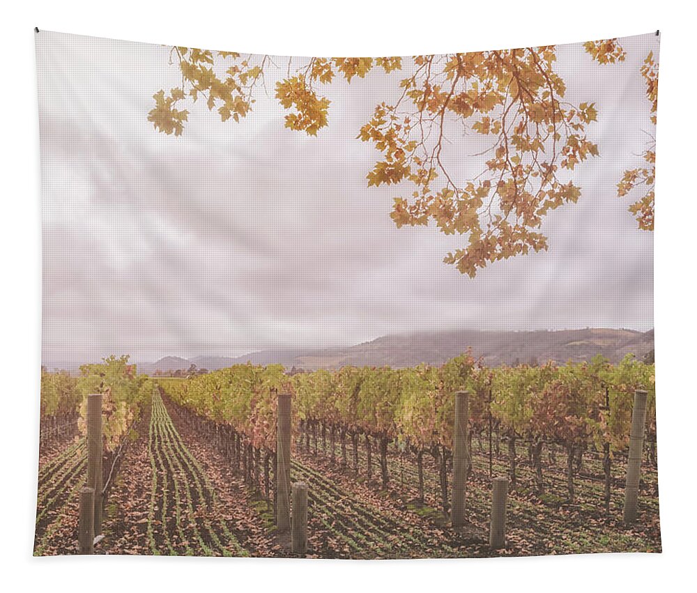 Season Tapestry featuring the photograph Storm Over Vines by Jonathan Nguyen