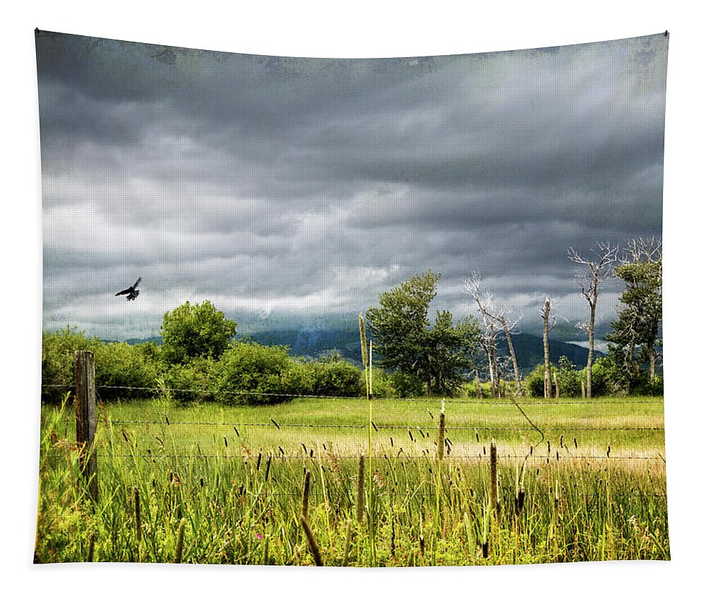 Clouds Tapestry featuring the photograph Storms Coming by Carmen Kern