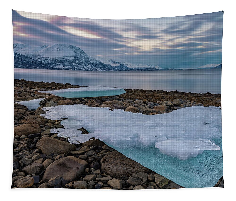 Ice Tapestry featuring the photograph Stranded ice by Thomas Kast