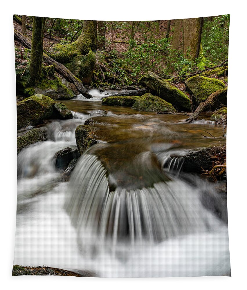 Falls Tapestry featuring the photograph Stream Dream by Todd Tucker