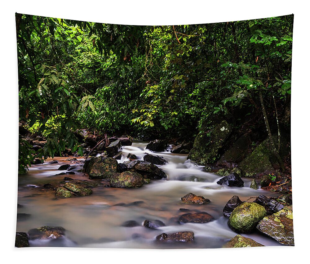 Stream Tapestry featuring the photograph Stream in the jungles by Vishwanath Bhat