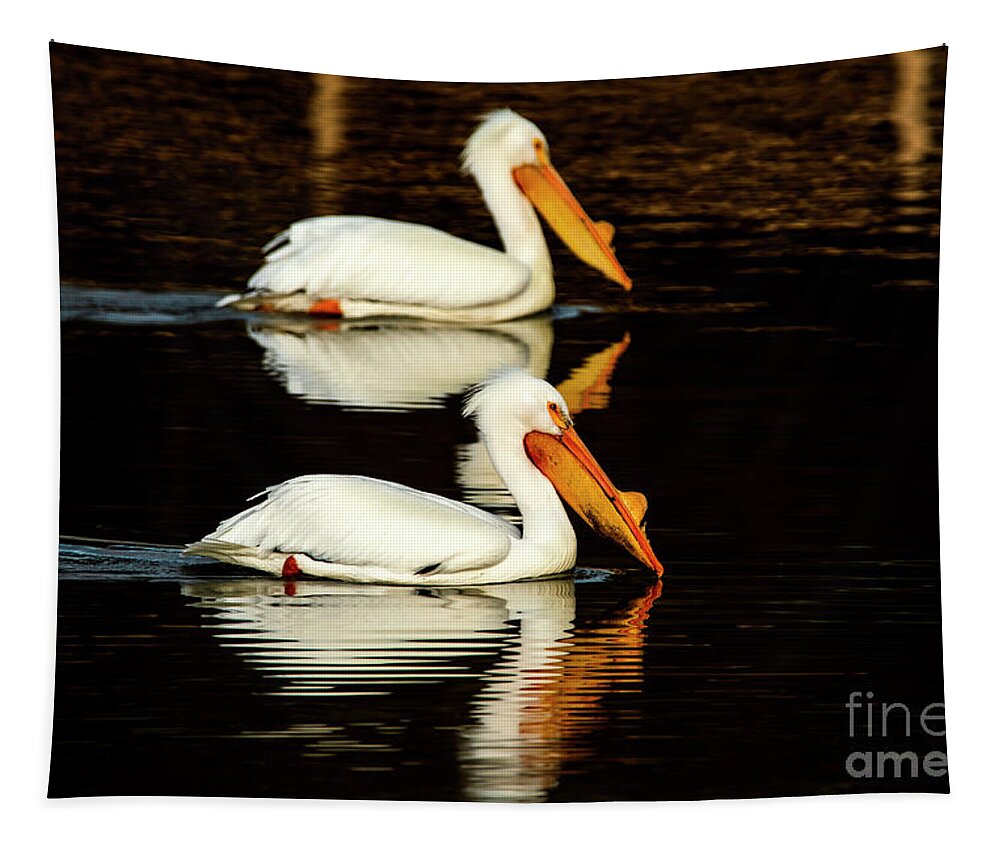 Great White Pelicans Tapestry featuring the photograph Striking a Pose with Pelicans by Sandra J's