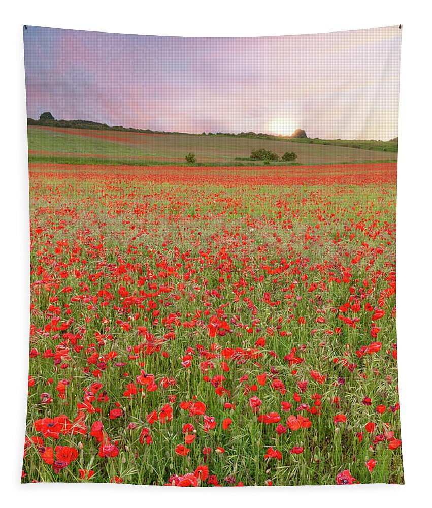 Norfolk Tapestry featuring the photograph Norfolk poppy fields at sunrise in England by Simon Bratt