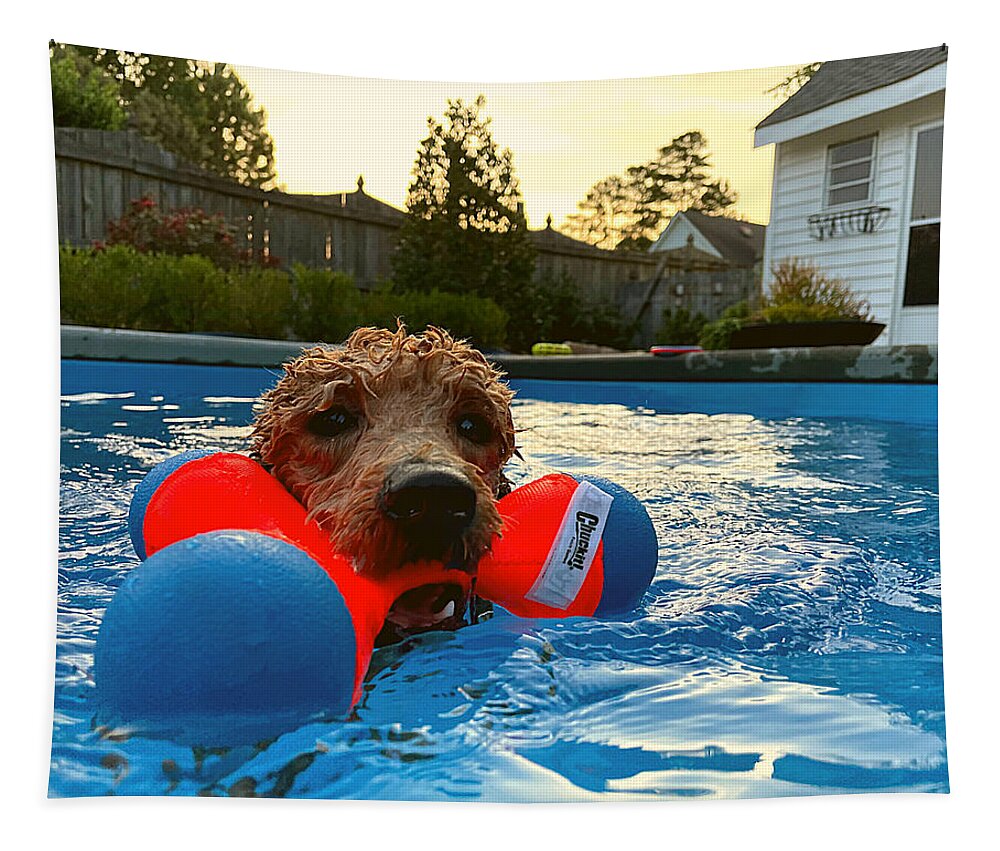 Goldendoodle Tapestry featuring the photograph Suburban Aqua Fetch by Lee Darnell