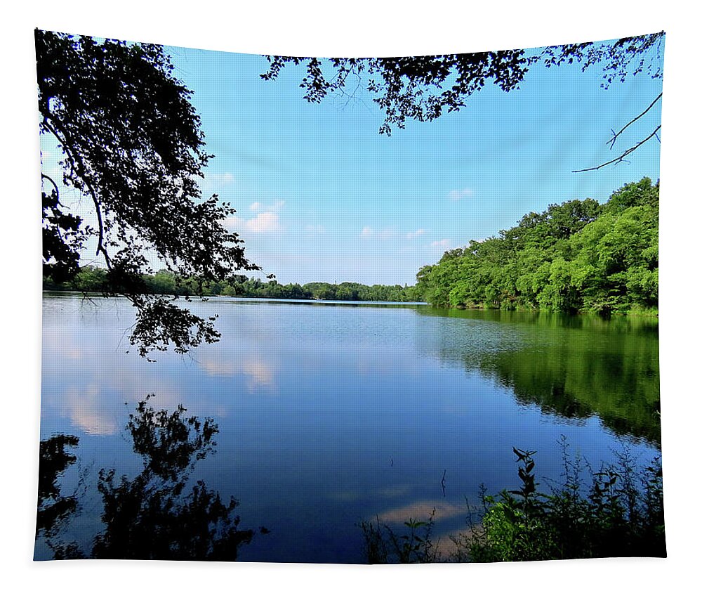 Lake Tapestry featuring the photograph Summer at Palmyra Nature Cove by Linda Stern
