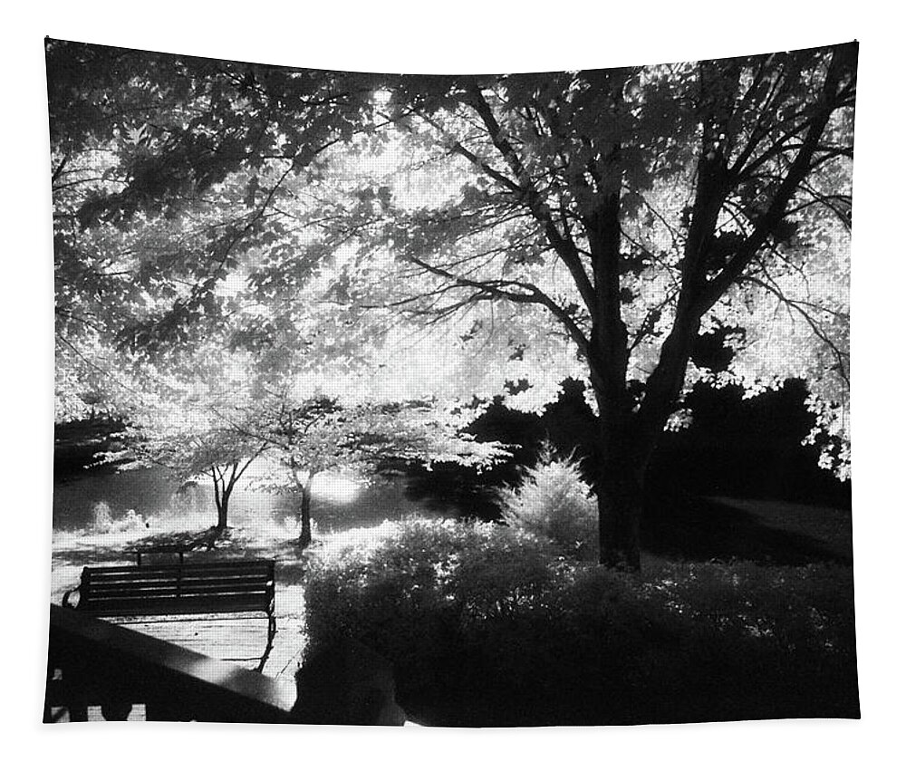 Infrared Black And White Tapestry featuring the photograph Summer at Quiet Waters No.7 - Infrared Black and White Film Photograph by Steve Ember