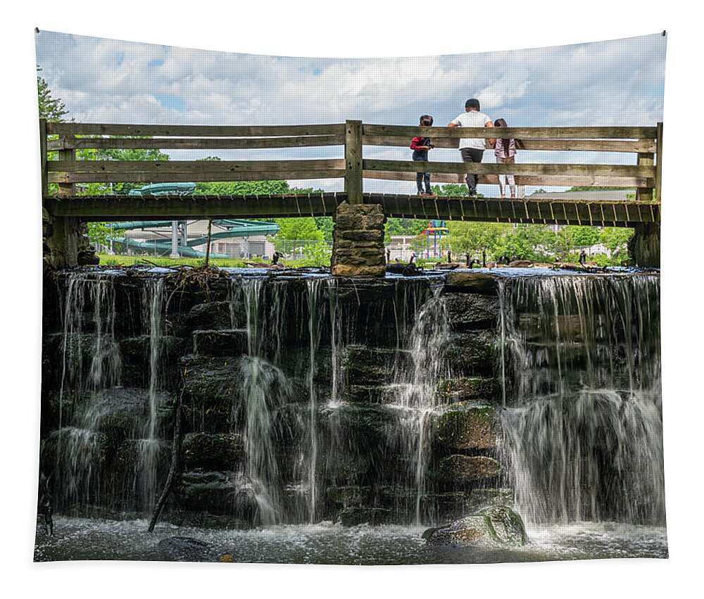 Summer Tapestry featuring the photograph June by Kevin Suttlehan