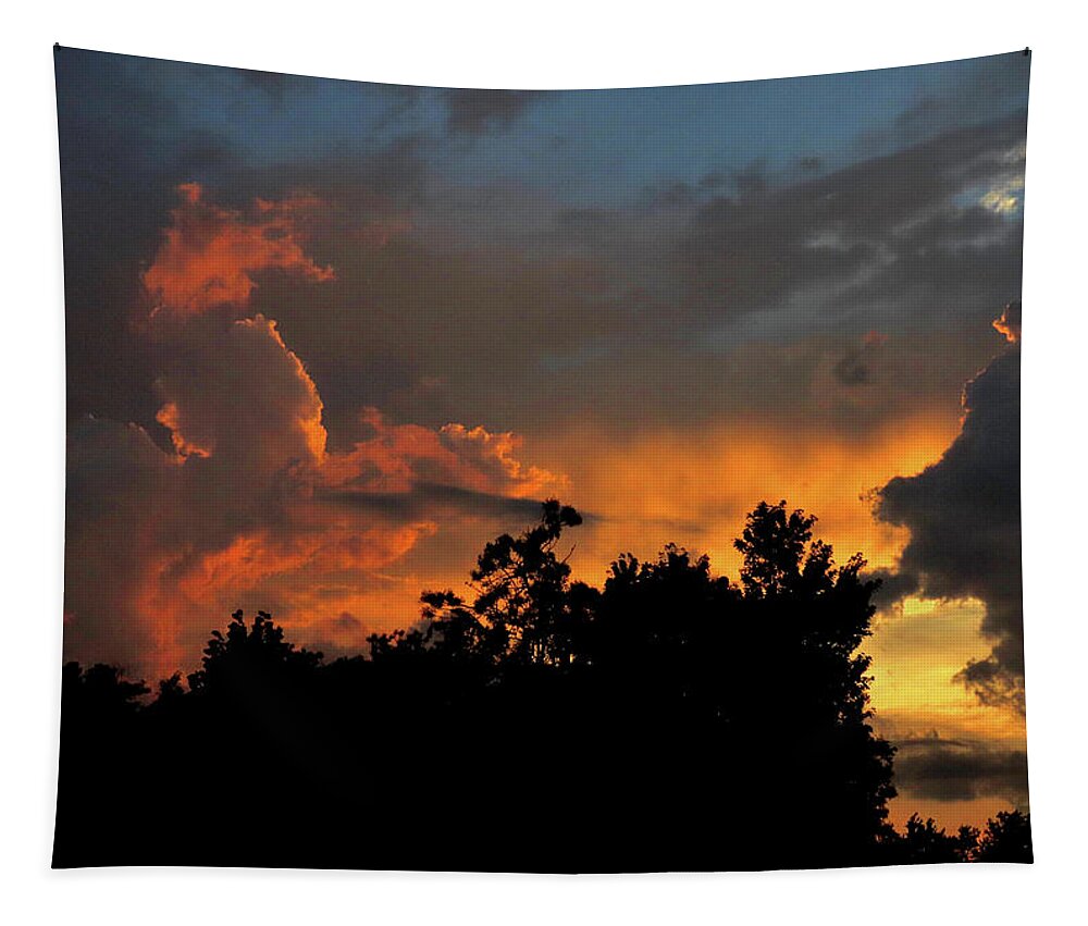 Evening Tapestry featuring the photograph Summer Evening - Two by Linda Stern