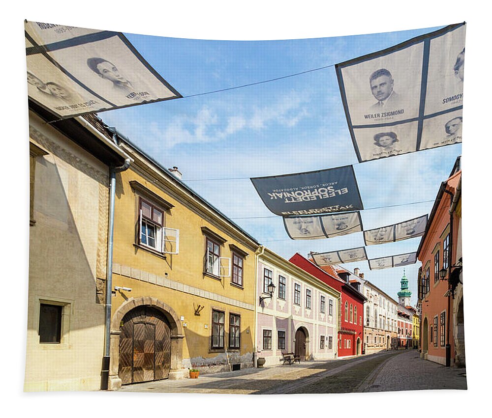Sopron Tapestry featuring the photograph Summer in Sopron Hungary by Viktor Wallon-Hars