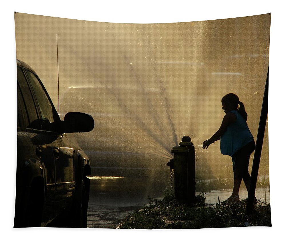 Silhouette Tapestry featuring the photograph Summer in the Bronx by Chris Goldberg