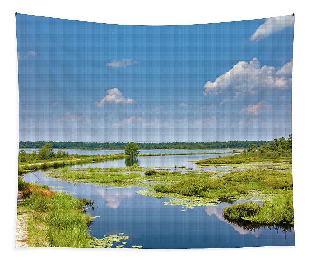 Grass Tapestry featuring the photograph Summer Landscape at Whites Bog by Louis Dallara