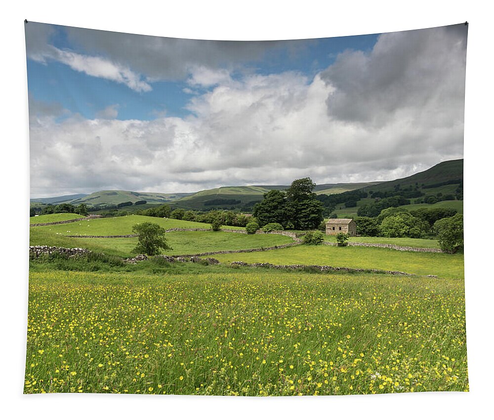 England Tapestry featuring the photograph Summer Meadows, Yorkshire Dales,England, UK by Sarah Howard