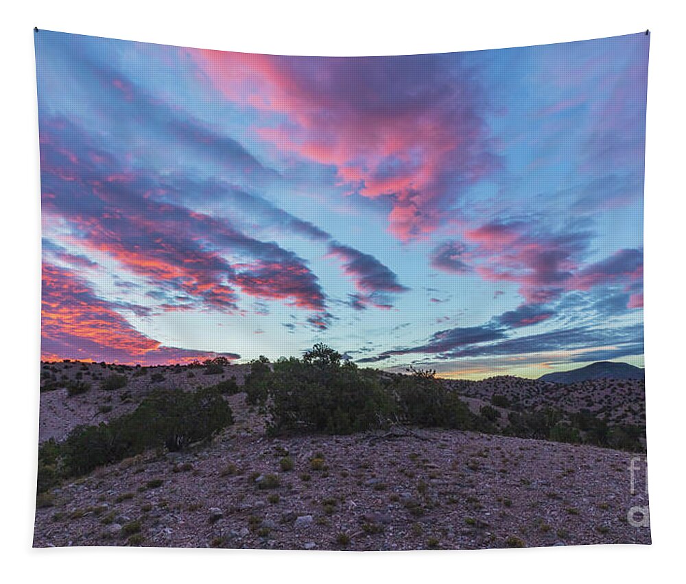 Landscape Tapestry featuring the photograph Summer Morning by Seth Betterly