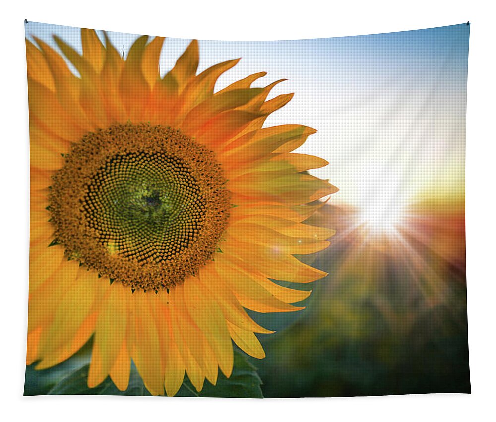  Tapestry featuring the photograph Summer Sunflower by Nicole Engstrom